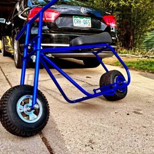 Blue Roller